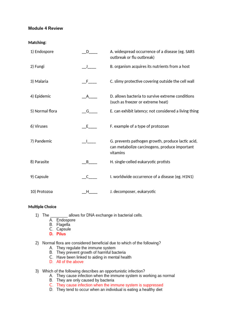 Module 4 Review Sheet Answers | PDF