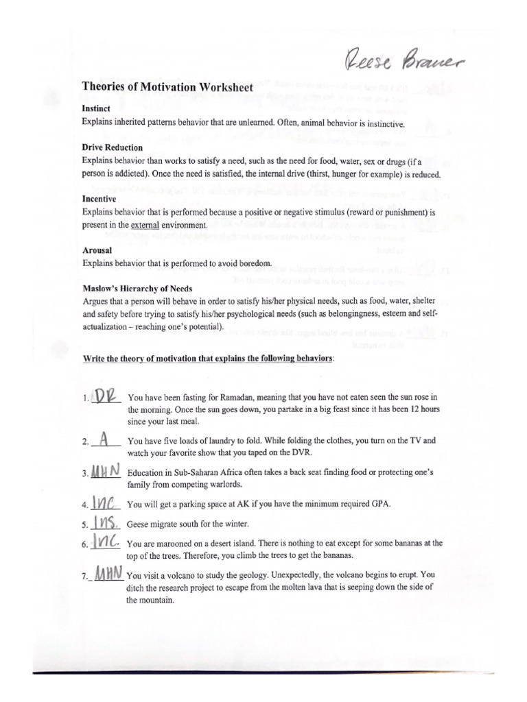 Theories of Motivation | PDF