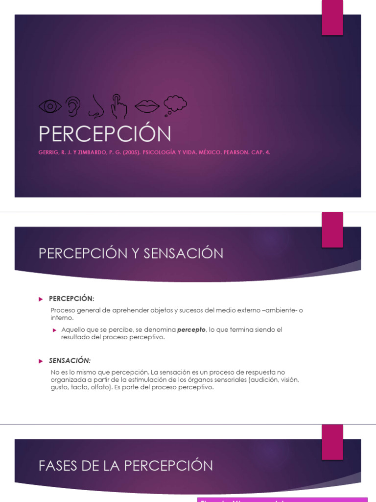 Percepción (Cultraro, F.) .Info Sobre La Percepción | PDF | Percepción ...