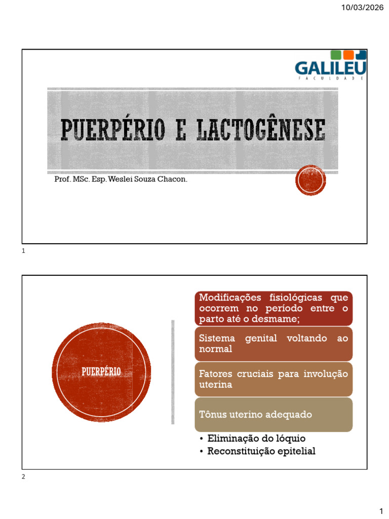 7 - Puerpério e Lactogênese | PDF | Lactação | Anatomia animal