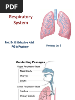 Respiratory System Diagrams & Flowcharts | PDF | Breathing | Lung