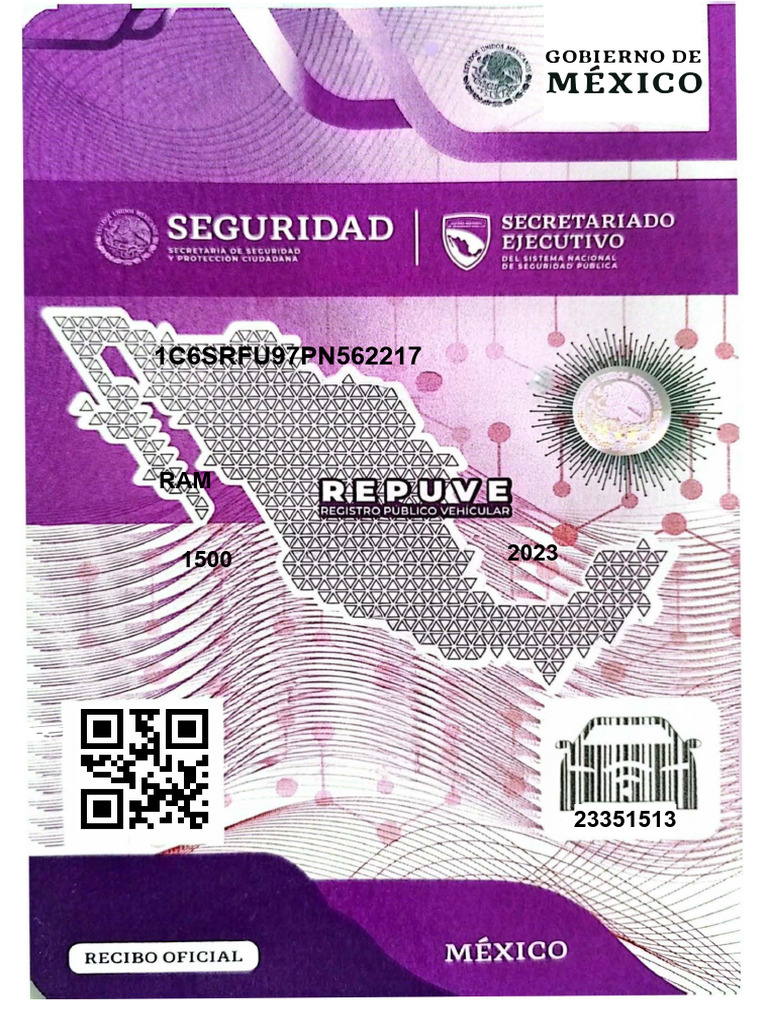 Chip Repuve Ram 2023 | PDF