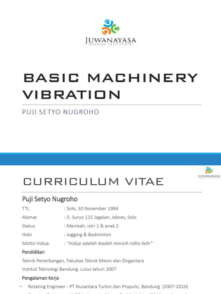 Basic Machinery Vibration | PDF
