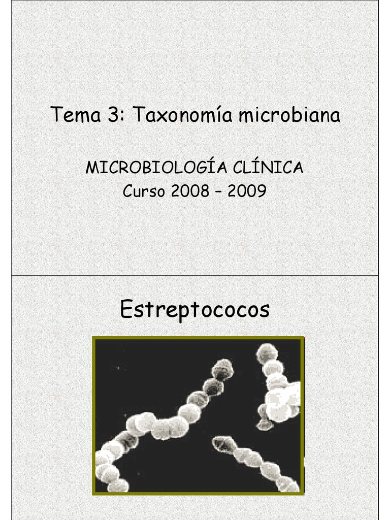 taxonomia microbiana Estreptococo Estafilococo áureo