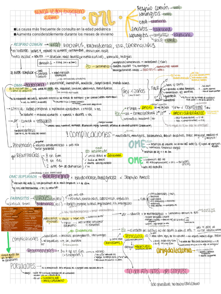 29- ORL (1) | PDF
