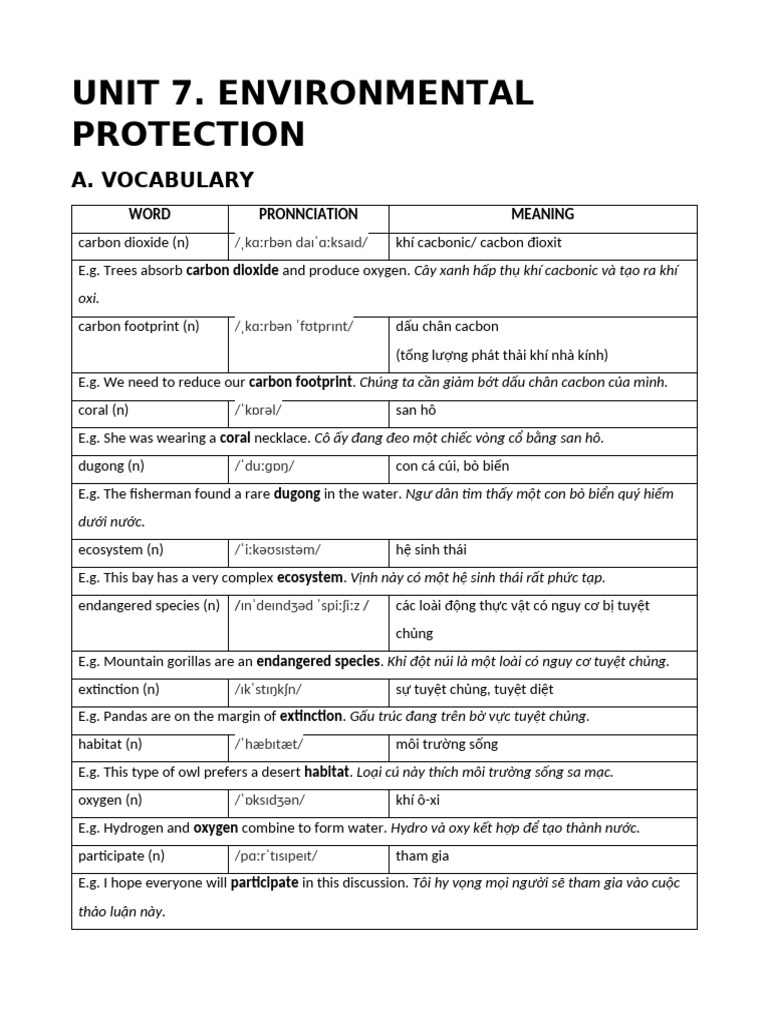 Unit 7. Environmental Protection | PDF
