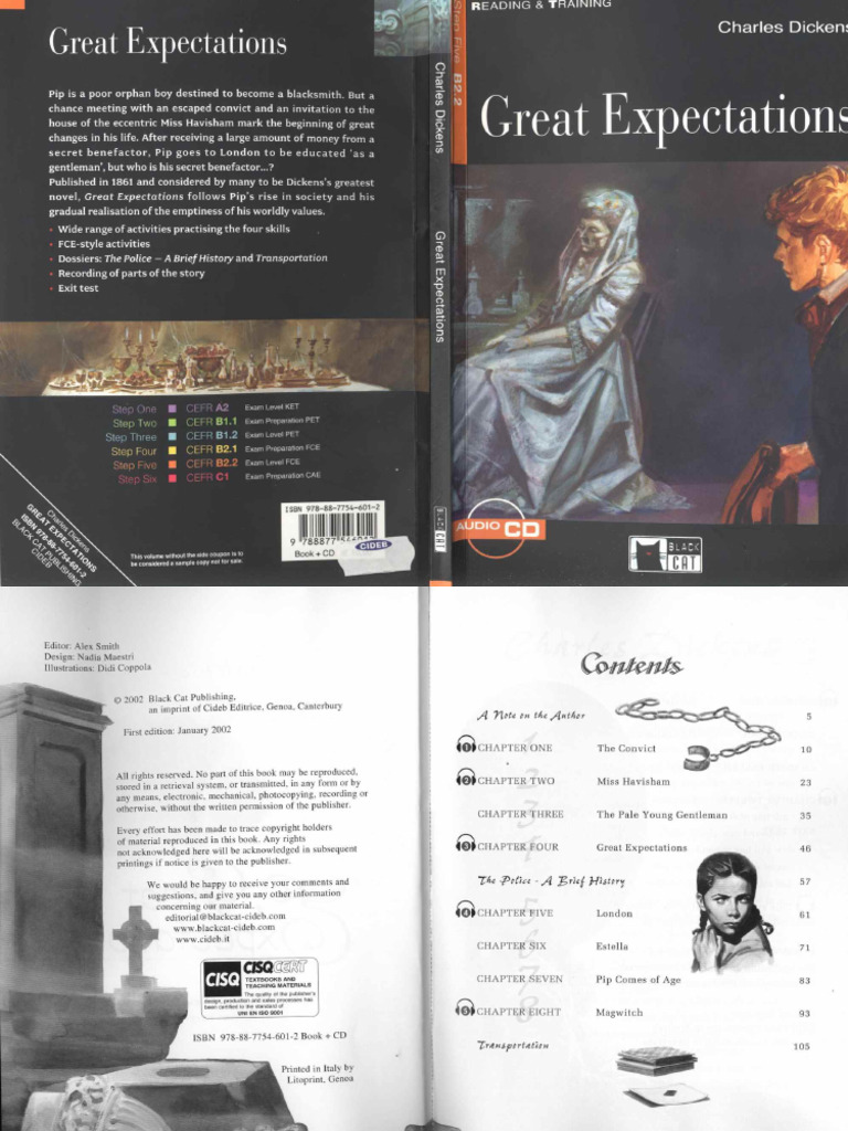 Great Expectations | PDF
