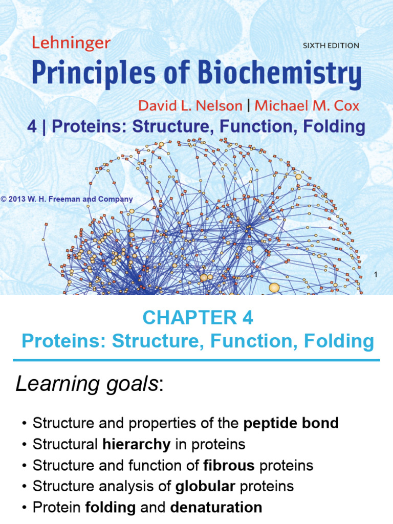 Protein Structure and Function | PDF | Protein Structure | Proline