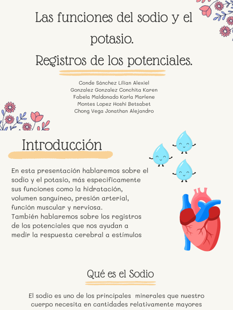 Las Funciones Del Sodio y El Potasio y Registros de Los Potenciales ...