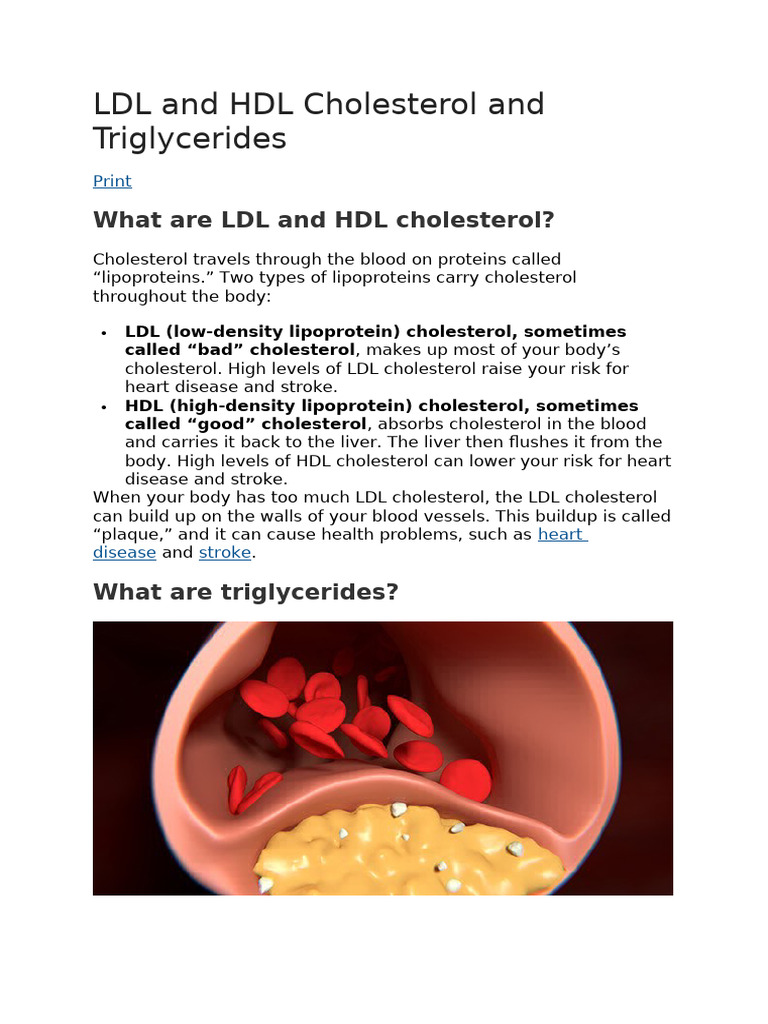 LDL and HDL Cholesterol and Triglycerides | PDF