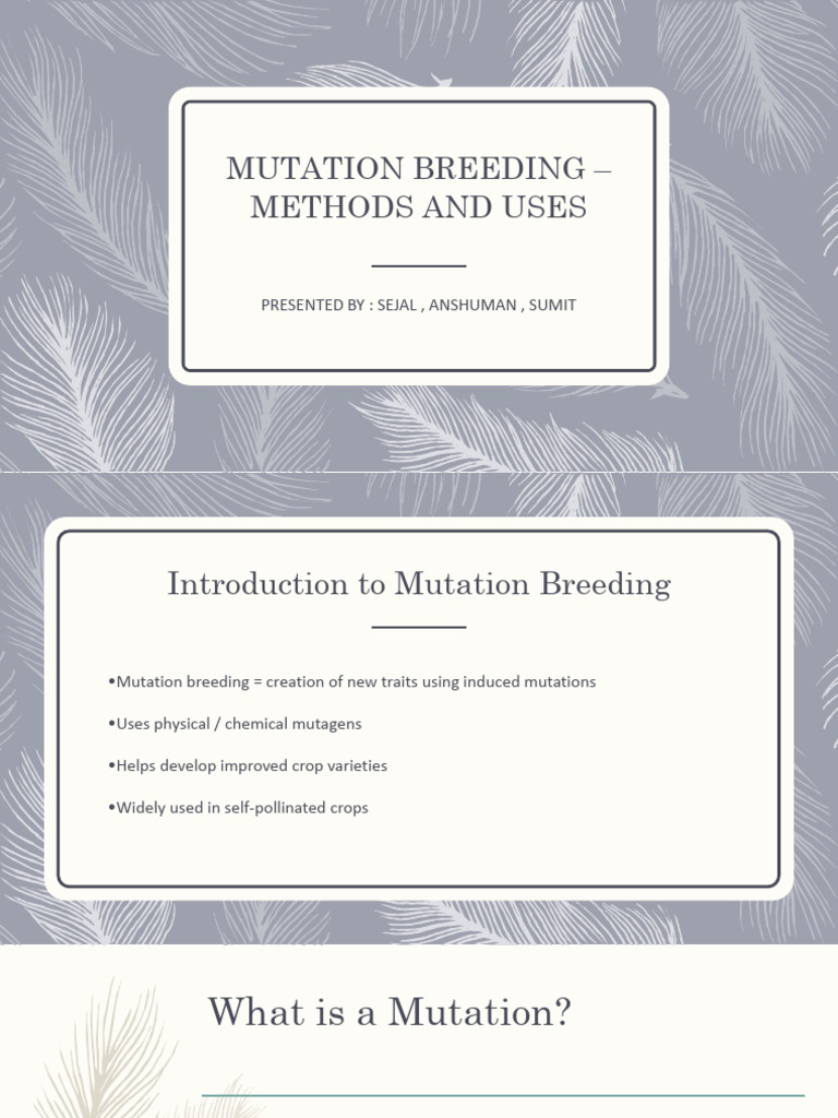 Mutation Breeding - Methods and Uses | PDF | Mutation | Plant Breeding