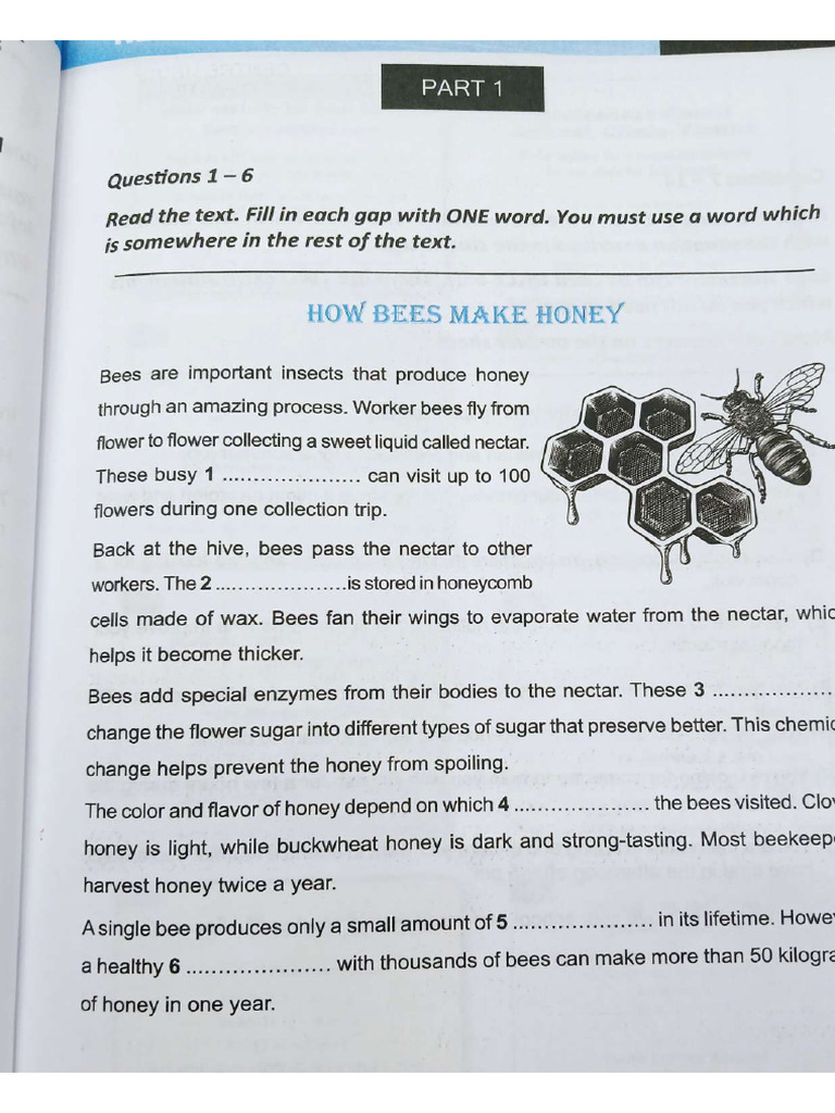 Test 22 | PDF