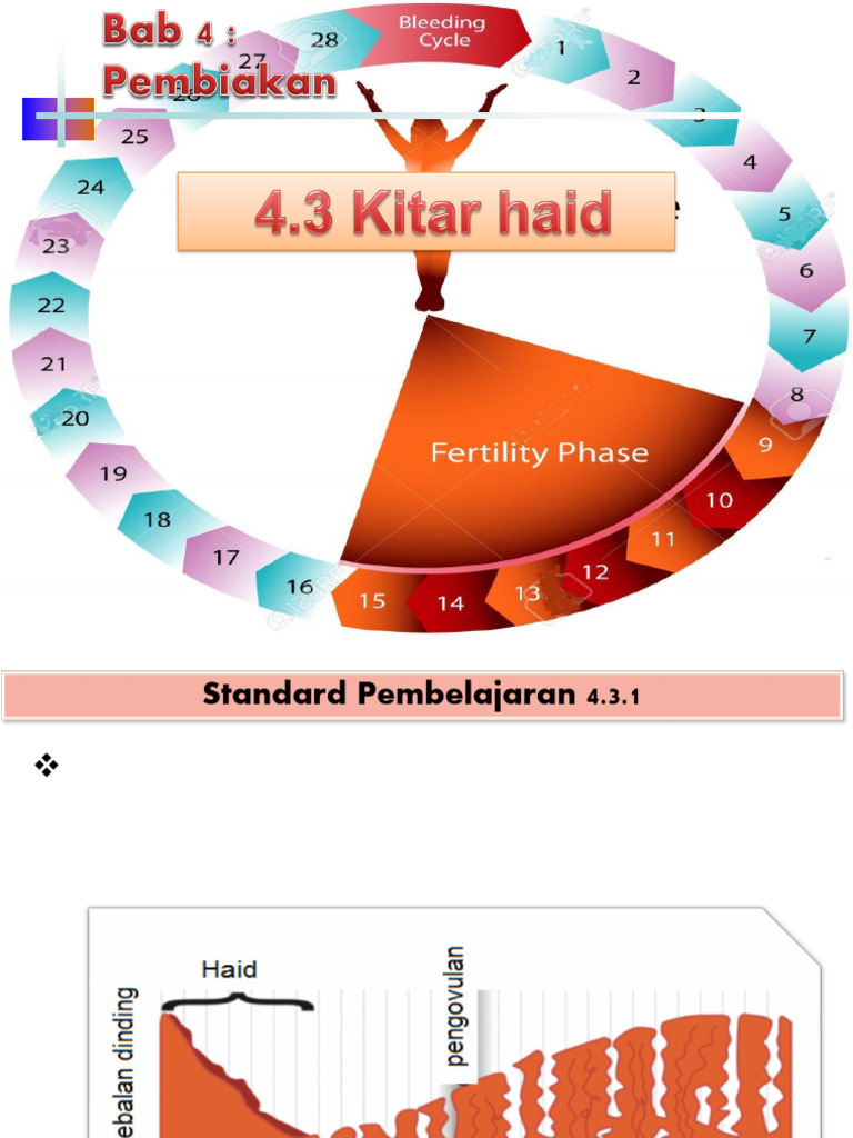 4.3 Kitar Haid 1 | PDF