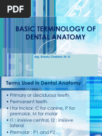 Surfaces of Teeth Explained | PDF | Dental Anatomy | Tooth