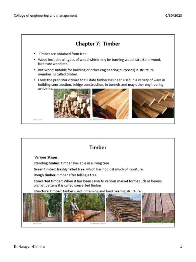 Chapter 7 Timber | PDF