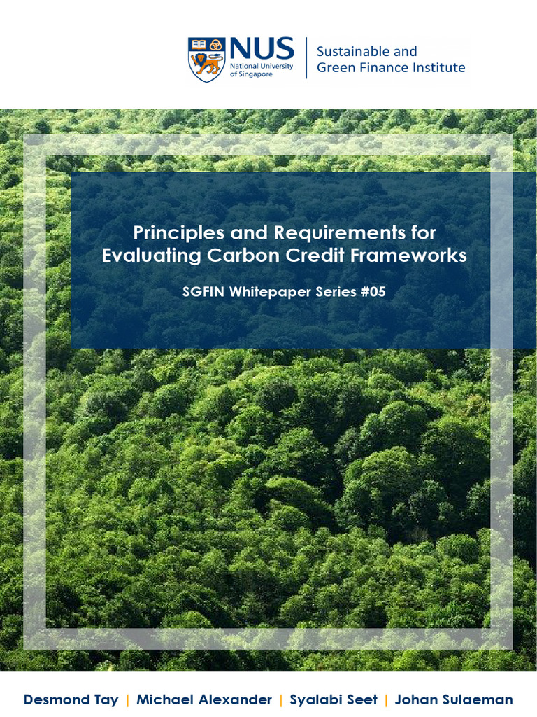 Sgfin White Papers 05 | PDF