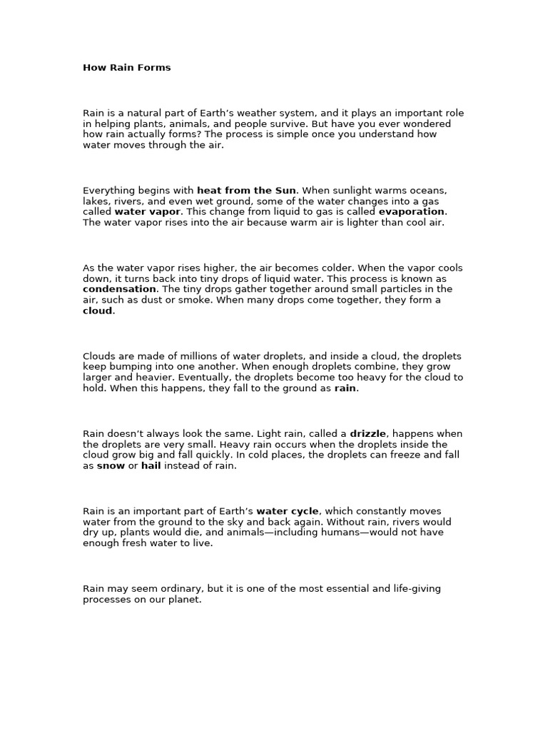 How Rain Forms | PDF