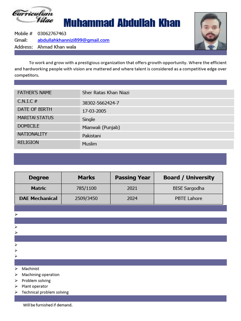 Abdullah CV. | PDF