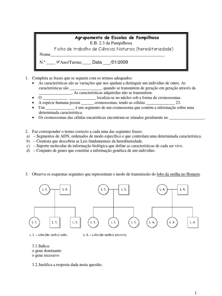 Ciencias Naturais Aprendendo Com O Cotidiano 9 Ano