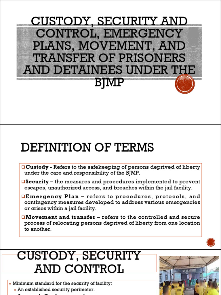Custody, Security and Control, Emergency Plans | PDF