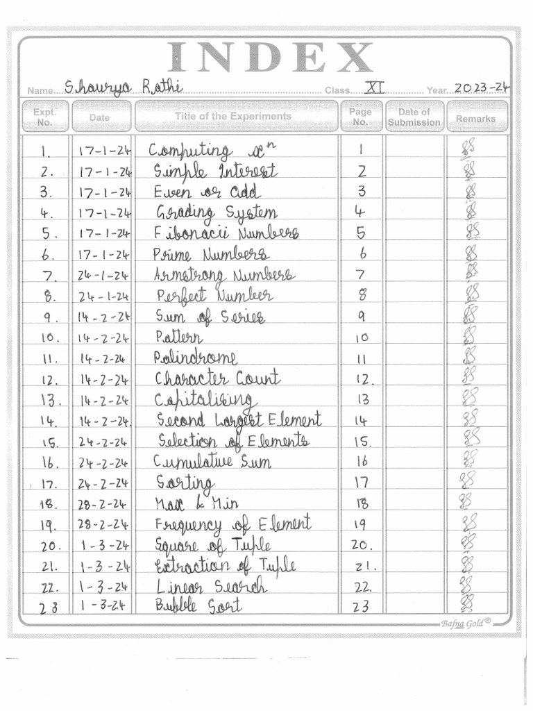 Comp. Sci Record - XI | PDF