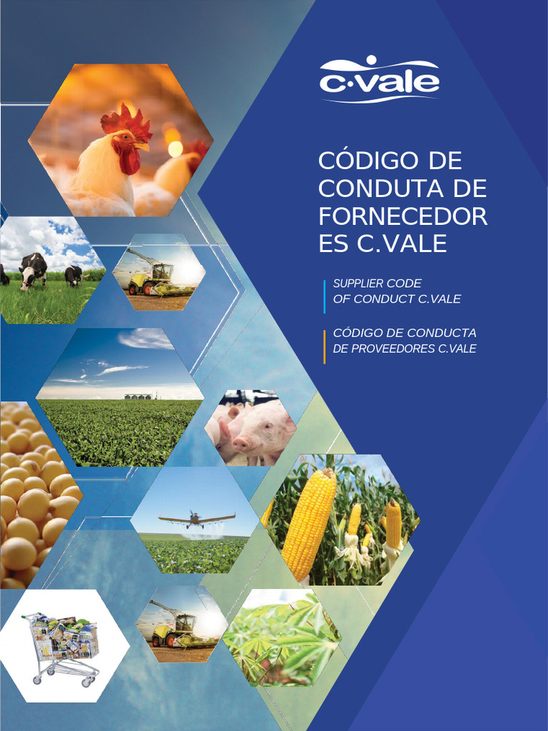 Codigo de Conduta 3 IDIOMAS b0584d6540 01 | PDF | Business | Economias