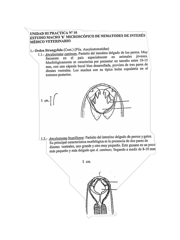 Wa0002. | PDF