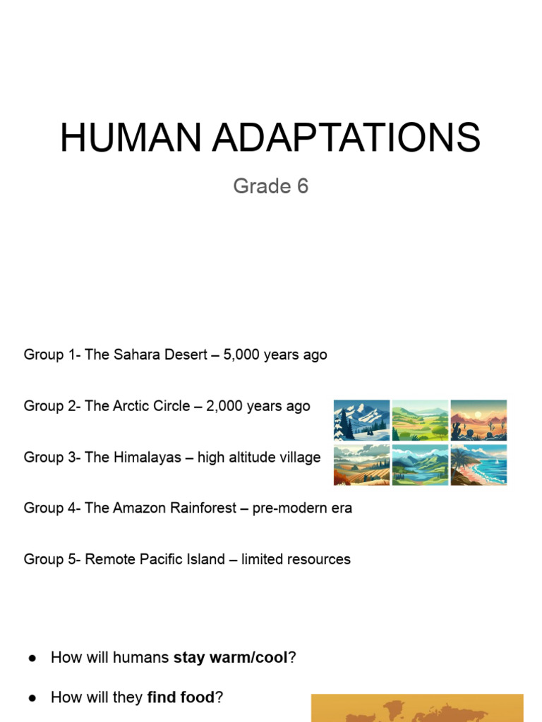 Human Adaptations 2 | PDF