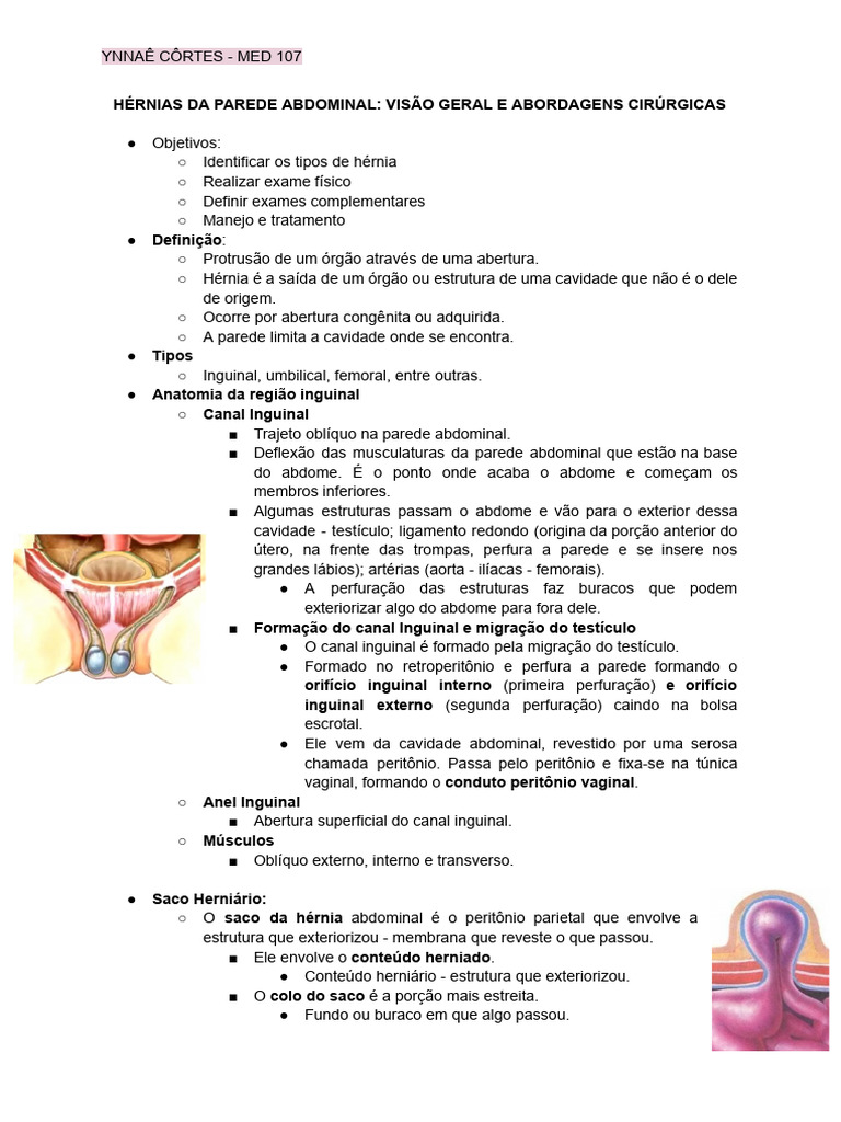 Aula 3 - Hérnias Da Parede Abdominal - Visão Geral e Abordagens ...