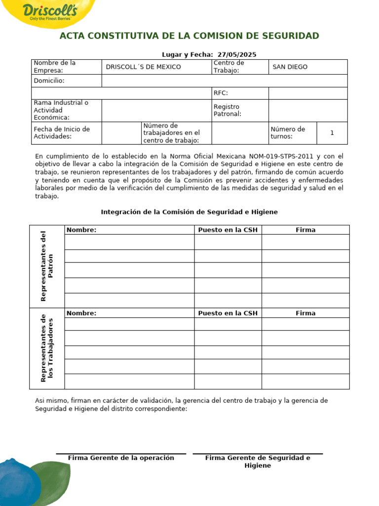 Acta Constitutiva de La Comision de Seguridad e Higiene | PDF