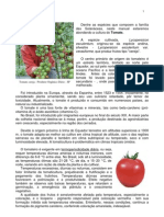 Manual de Tomate