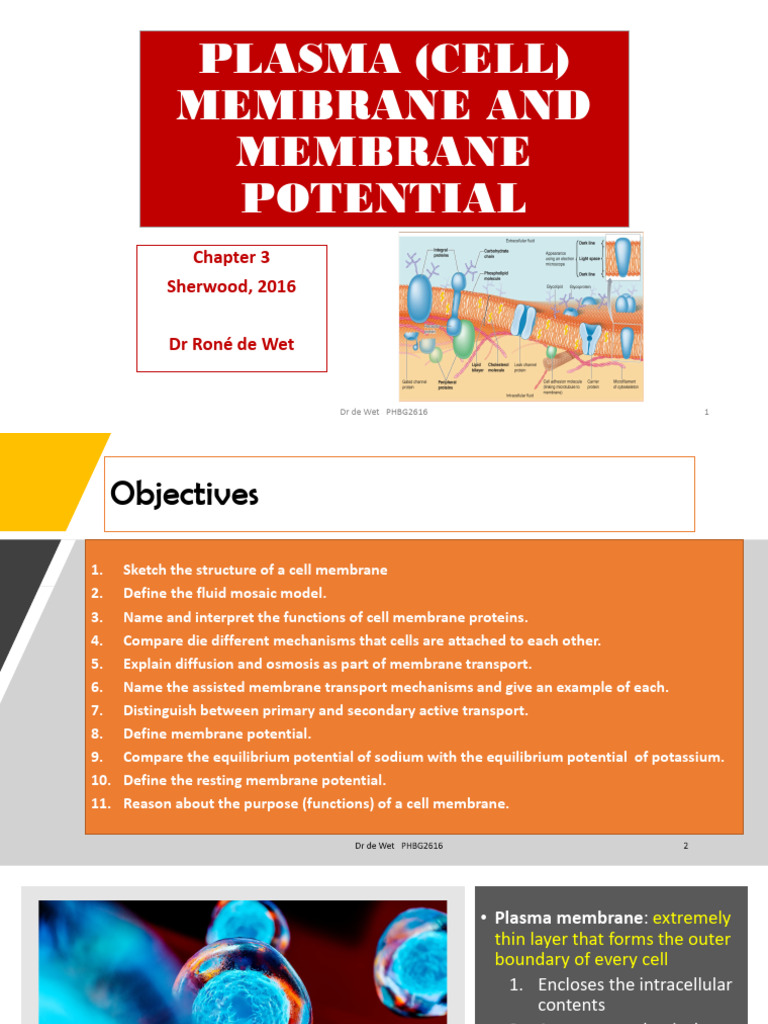 Chapter 3 Cell membrane RdW | PDF | Cell Membrane | Membrane Potential