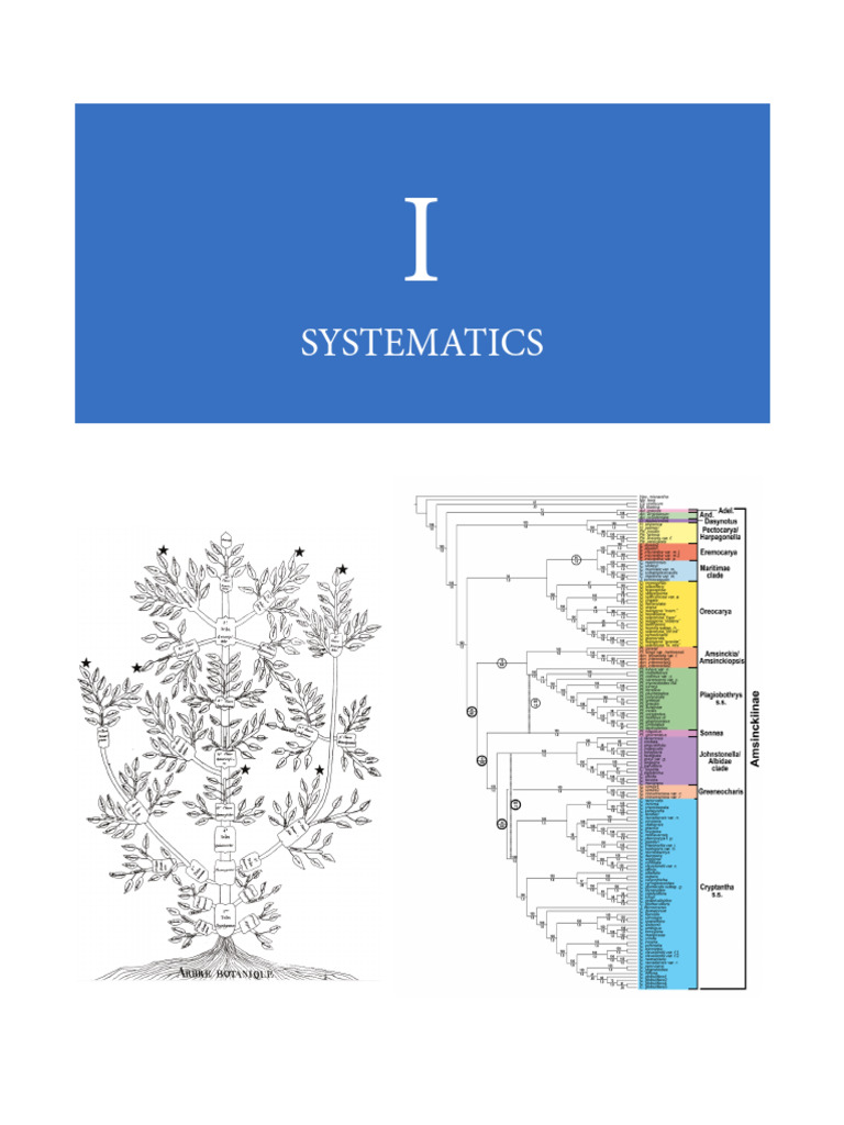 Introduction 2019 Plant-Systematics3 | PDF