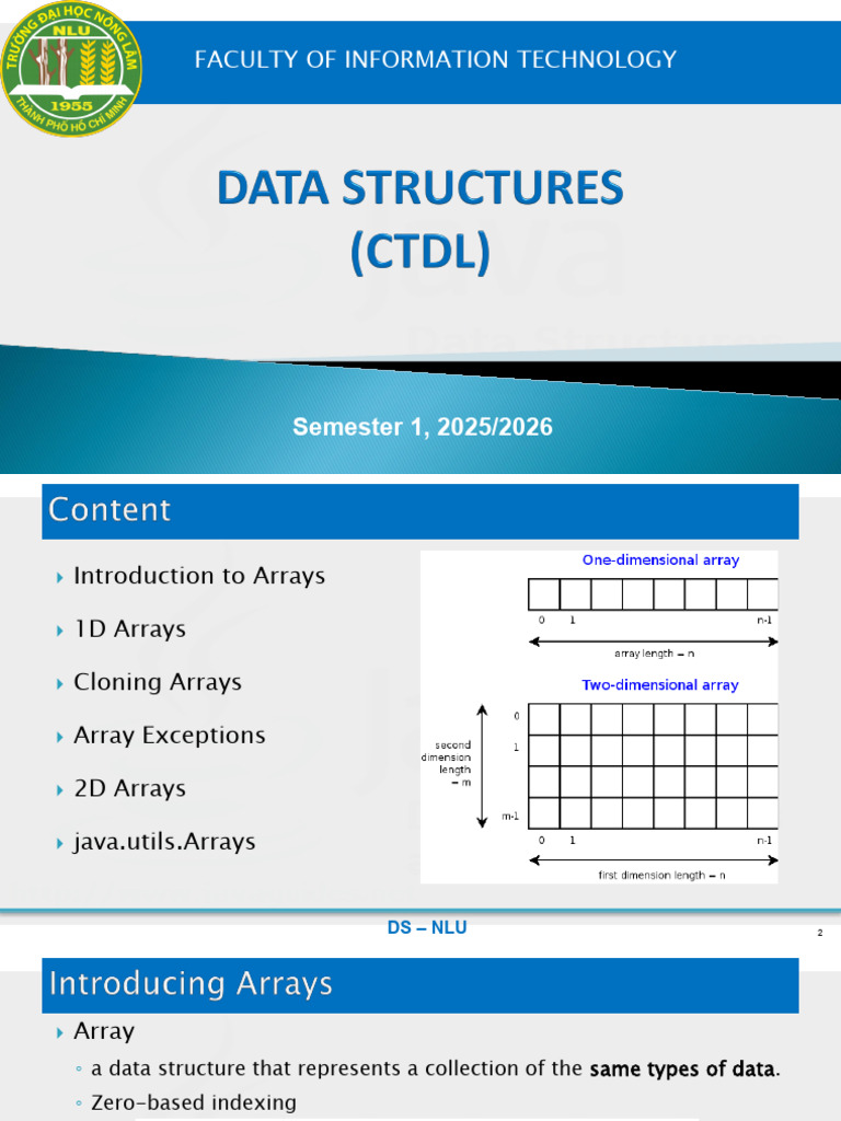 DS1 Arrays | PDF | Data Type | Integer (Computer Science)