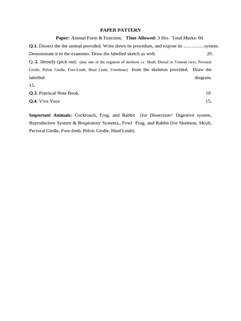 Anim. F& F-Practical Paper Pattern | PDF