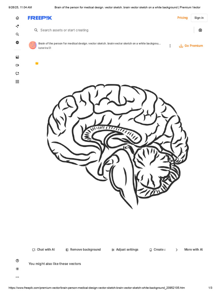 Brain | PDF