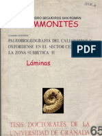 AMMONITES Laminas de Paleobiogeografia Del Calloviense y Oxfordiense en El Sector Central de Las Cordilleras Beticas