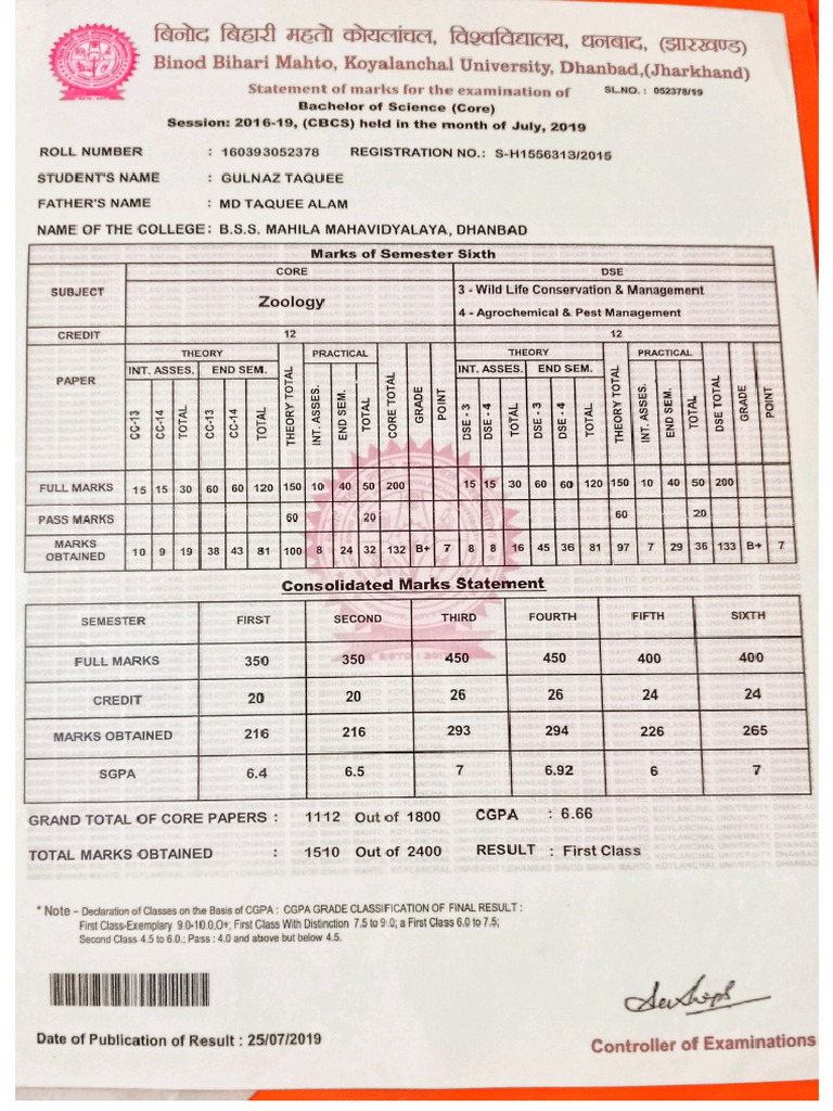 BSC Certificate | PDF
