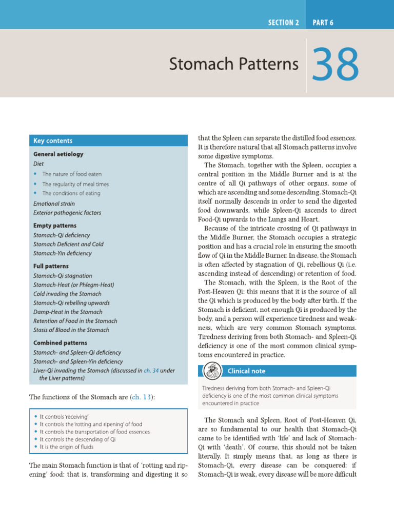 17 - 7 Stomach Patterns | PDF