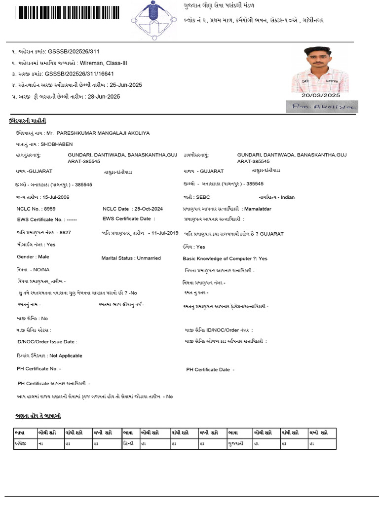 Wireman Form | PDF