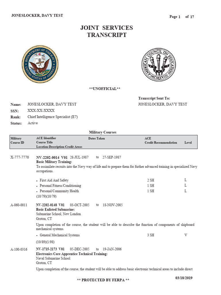 Navy JST Sample Jonas | PDF | Computer Security | Security