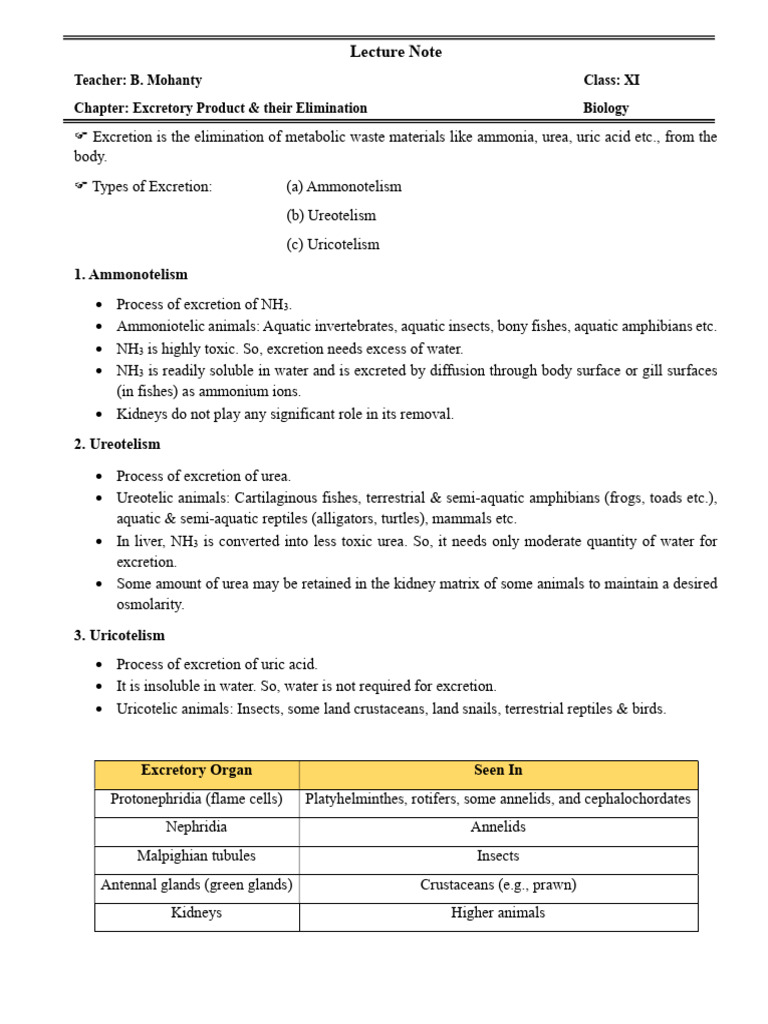 Lecture Note - Excretory & Their Product - Biology - Handout | PDF ...