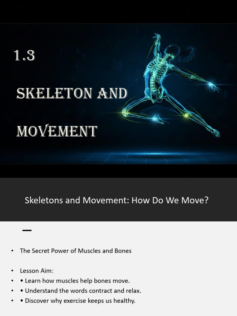 1.3 Skeletons - and - Movement | PDF | Arm | Skeleton