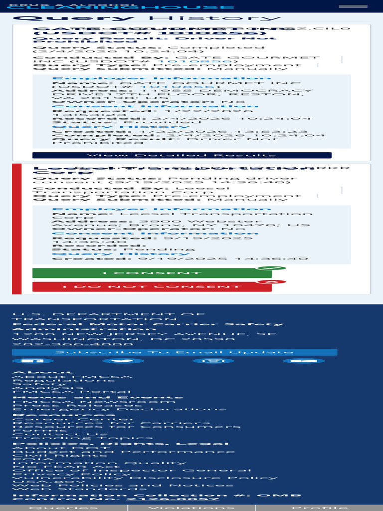 Query History | PDF
