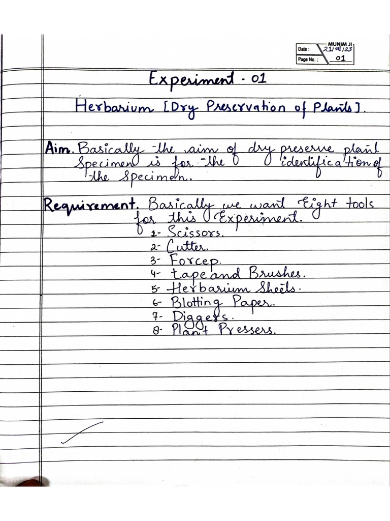 Practical | PDF