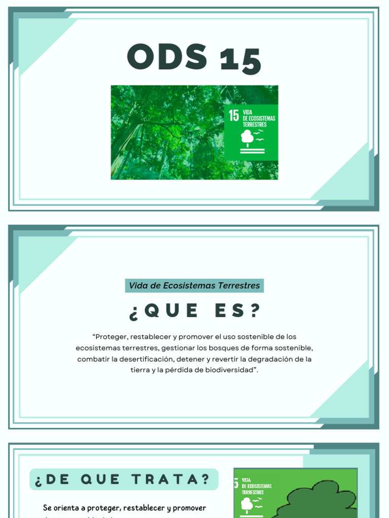 OSD 15 | PDF