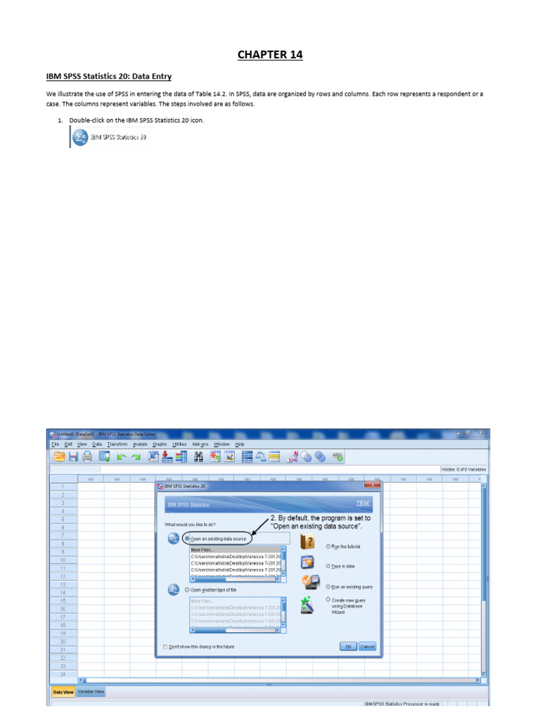 SPSS Screen Cap CHP 14 Data Entry | PDF