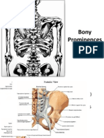 Bony Prominences & Spines