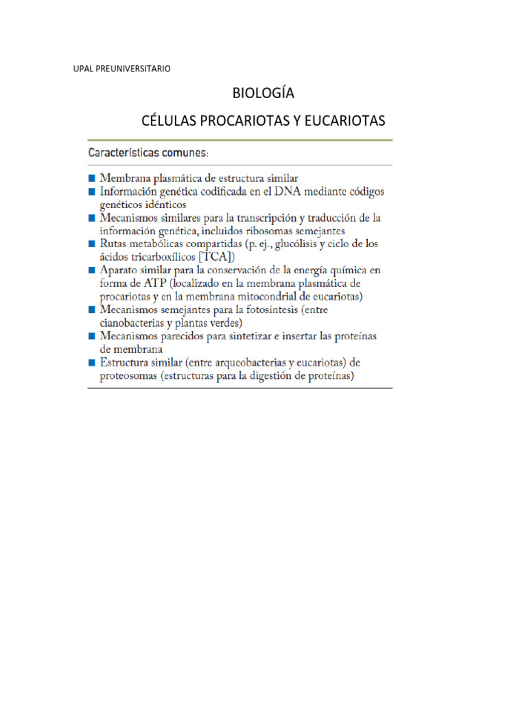 Células Procariotas y Eucariotas | PDF