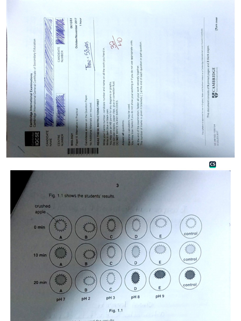 Task 3 P6 | PDF